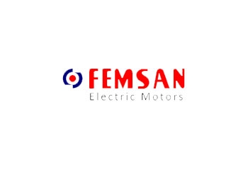 Femsan