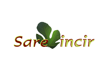 Sare İncir